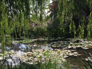 Taken on my trip to Giverny in August 2014