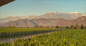 Kaiken Winery, Mendoza, Argentina