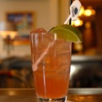The Adelaide Swizzle The Swizzle Stick Bar