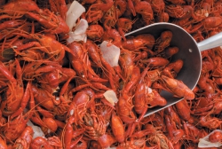 There's nothing like a New Orleans crawfish boil!