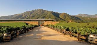 Chile's Montes Winery