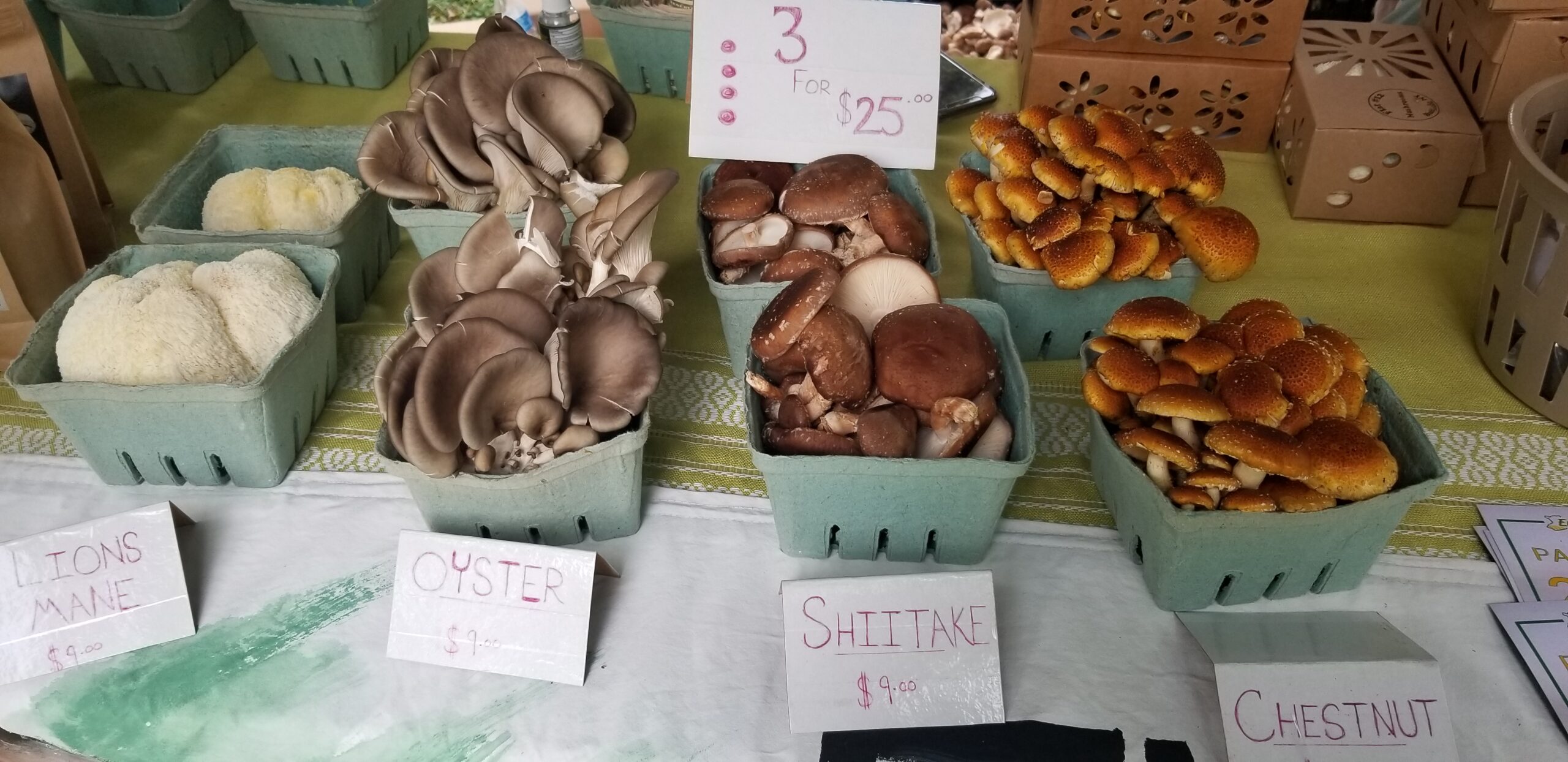 Mushrooms