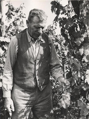 Joseph Cattin