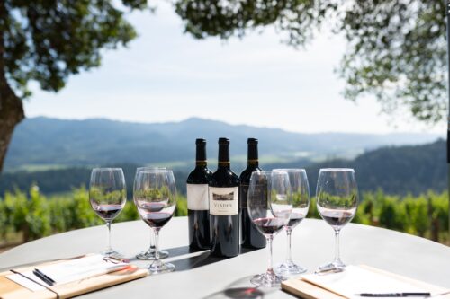 View from Viader Vineyards
