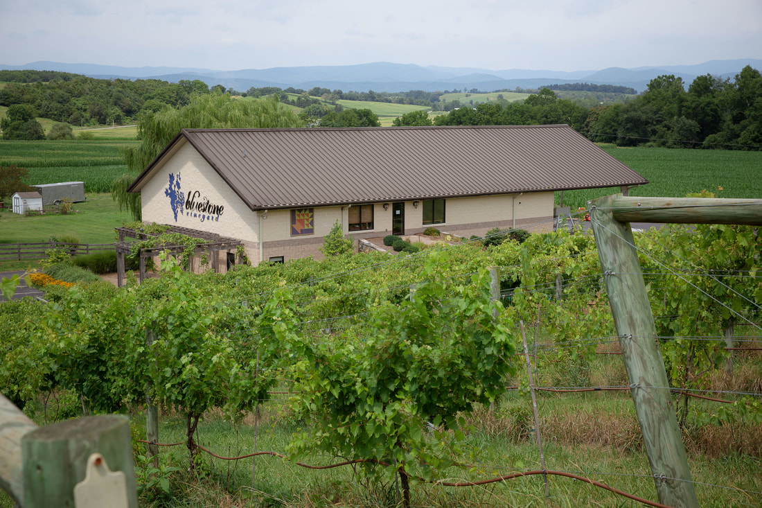 Bluestone Vineuard