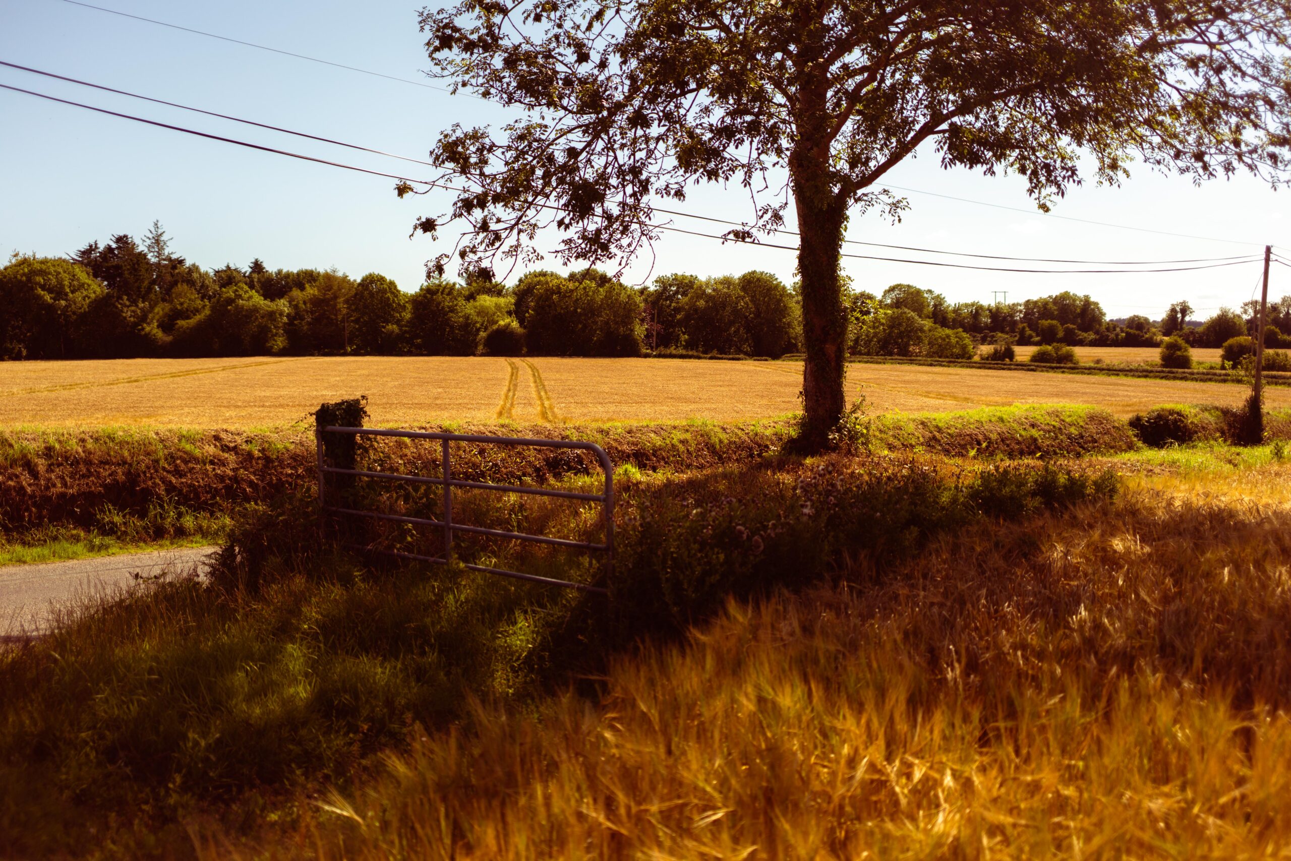 Coolander Farm